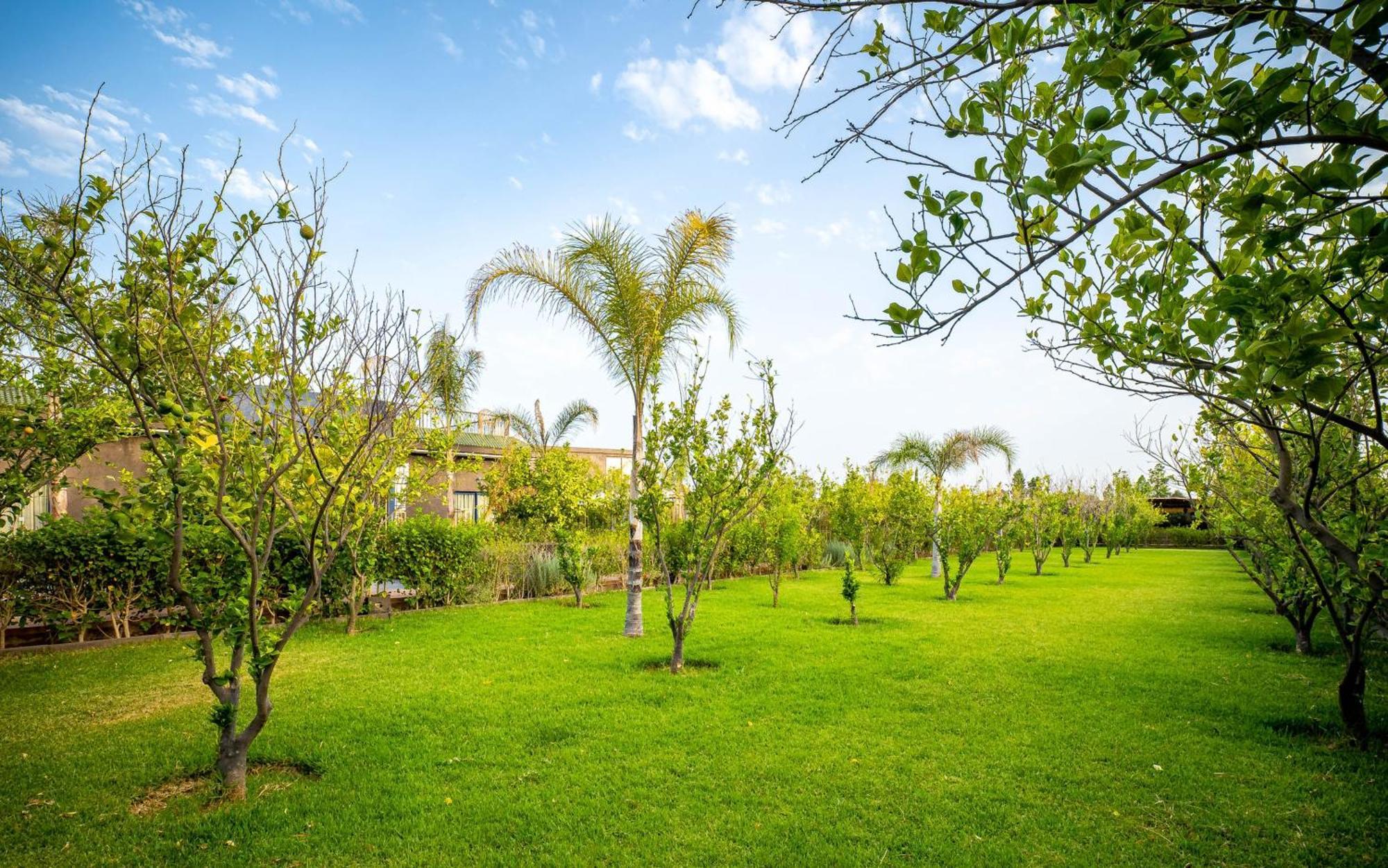 The Lemonary Marrakech 호텔 Ouled Moumen 외부 사진