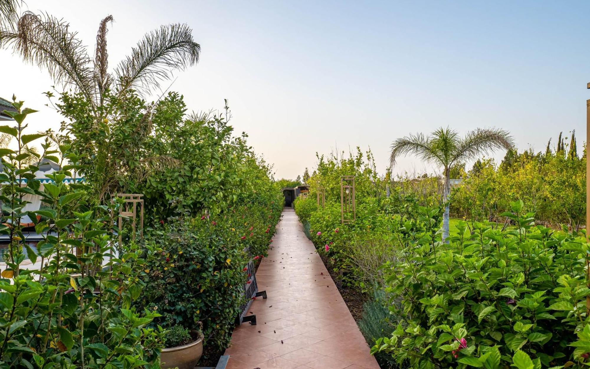 The Lemonary Marrakech 호텔 Ouled Moumen 외부 사진